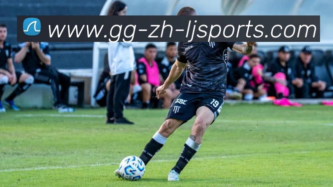 App Interface Preview